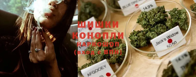 Марихуана OG Kush  Клин 